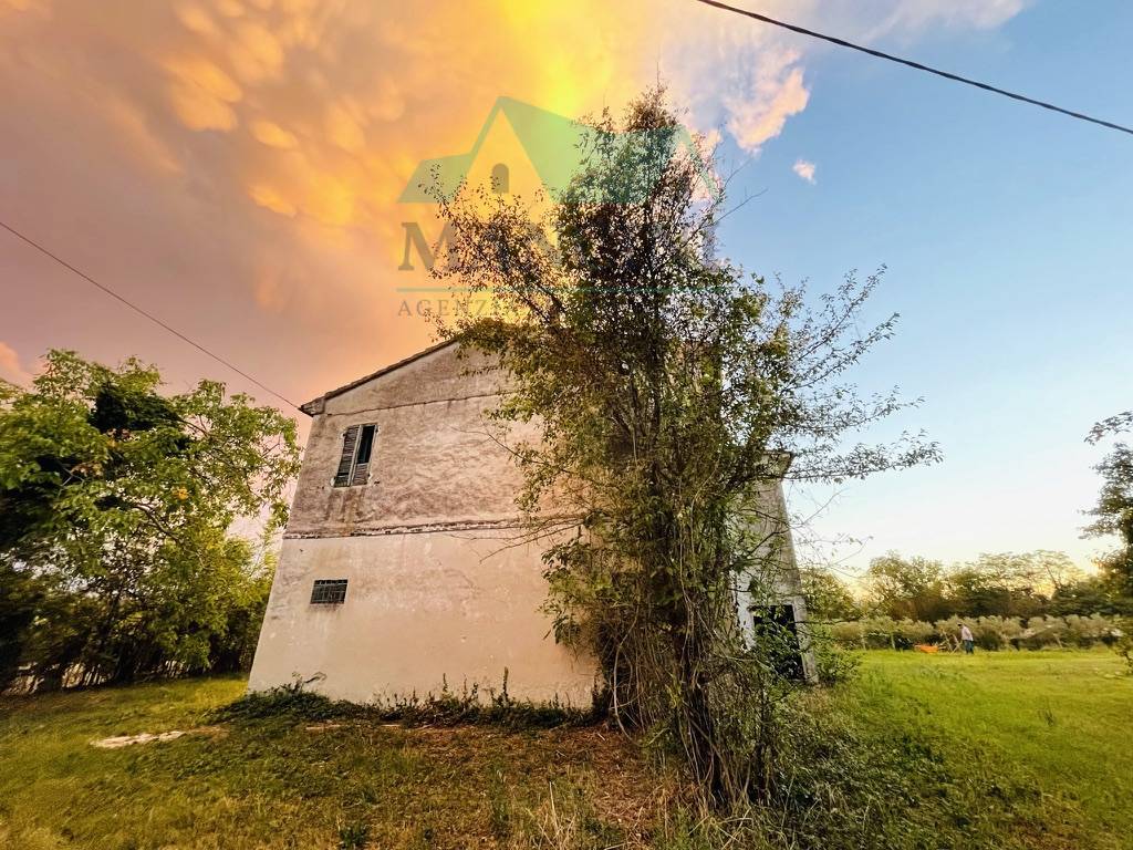 immagine annuncio 1 di 7