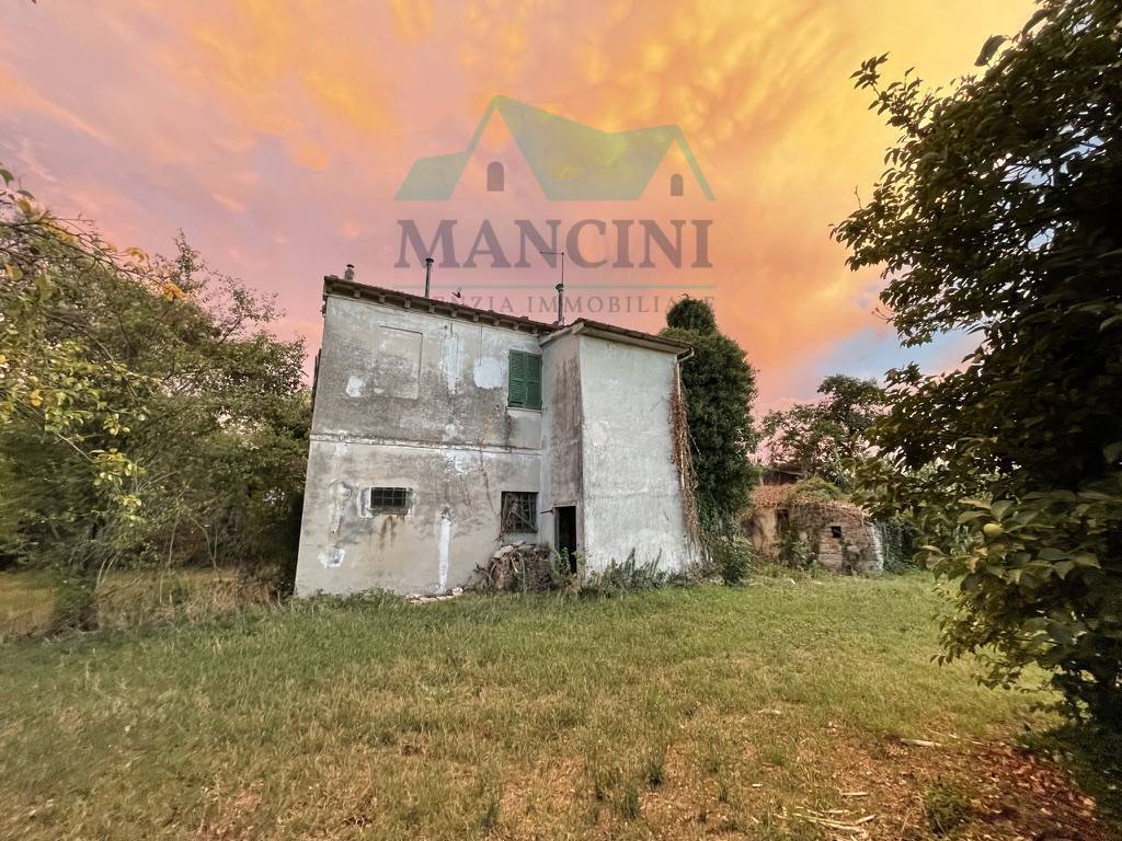 immagine annuncio 2 di 7