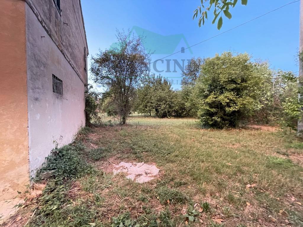 immagine annuncio 4 di 7