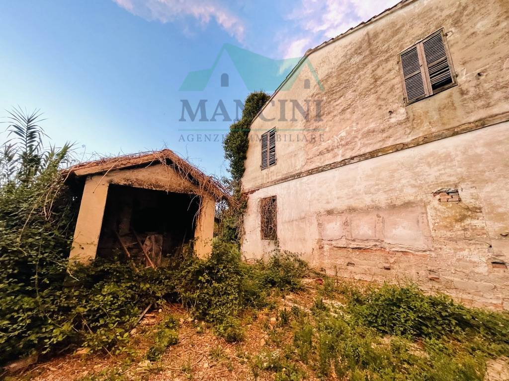 immagine annuncio 5 di 7