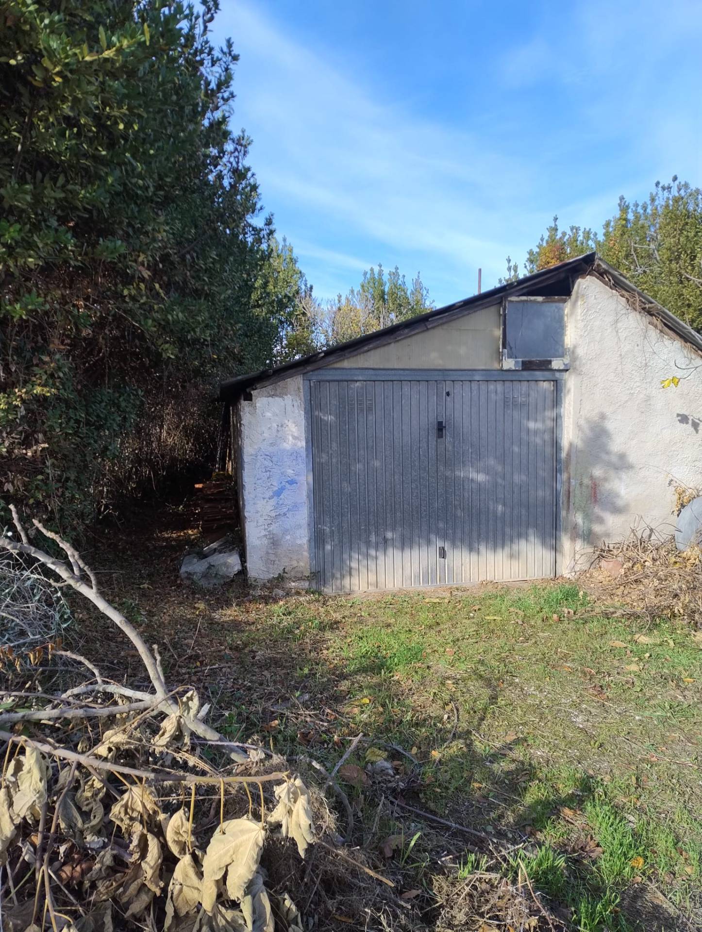 terreno agricolo ed edificabile in vendita a Castorano