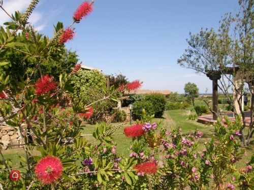 Casa vacanza 3 Locali arredata in affitto a San Teodoro