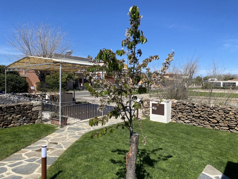 Casa vacanza 4 Locali arredata in affitto a San Teodoro