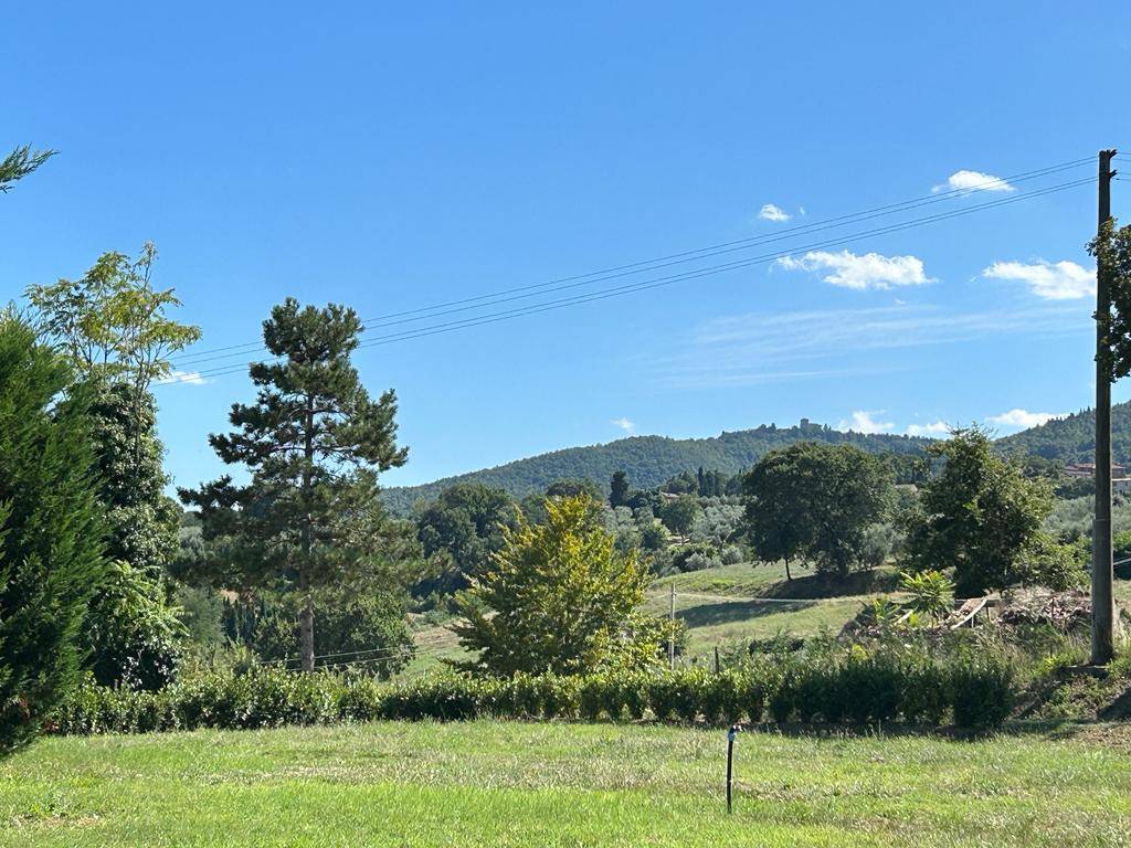 Terreno nuovo, Cetona piazze