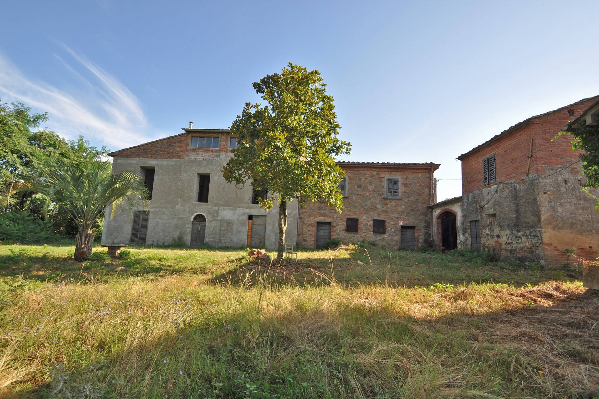 Rustico da ristrutturare, Monte San Savino alberoro