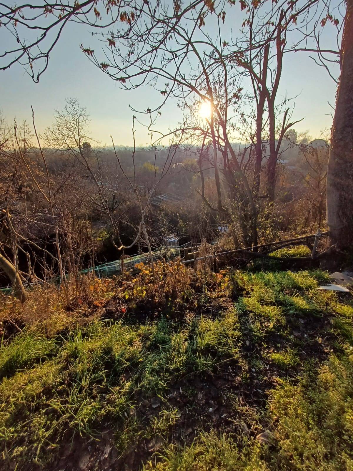 Terreno Agricolo in vendita a Milano, Baggio