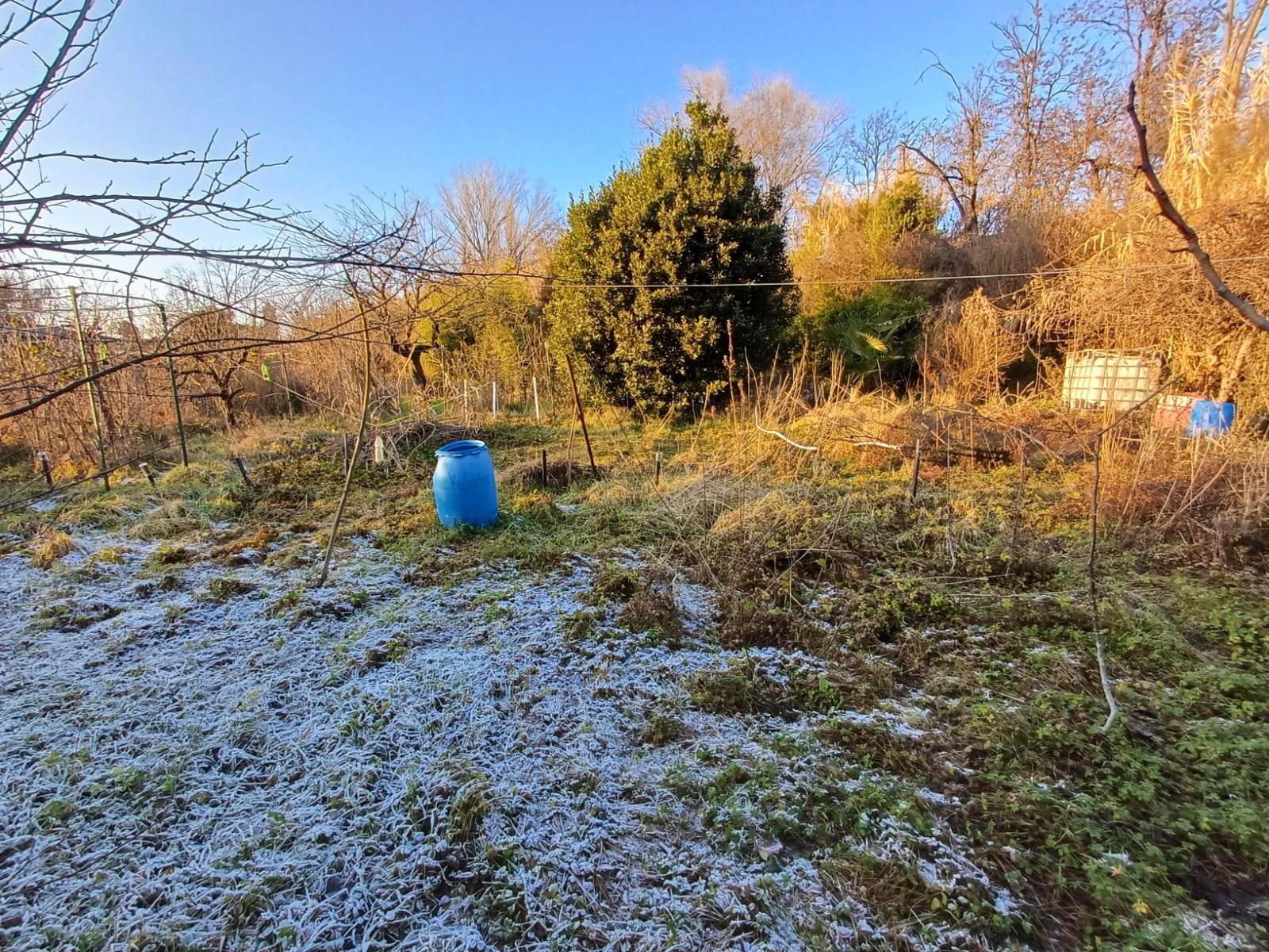 Terreno Agricolo in vendita a Milano, Baggio