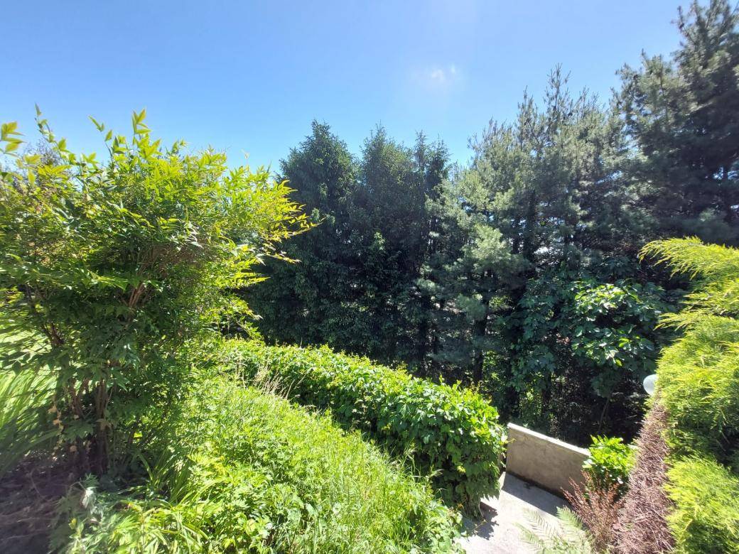 Villa in vendita a Gallarate