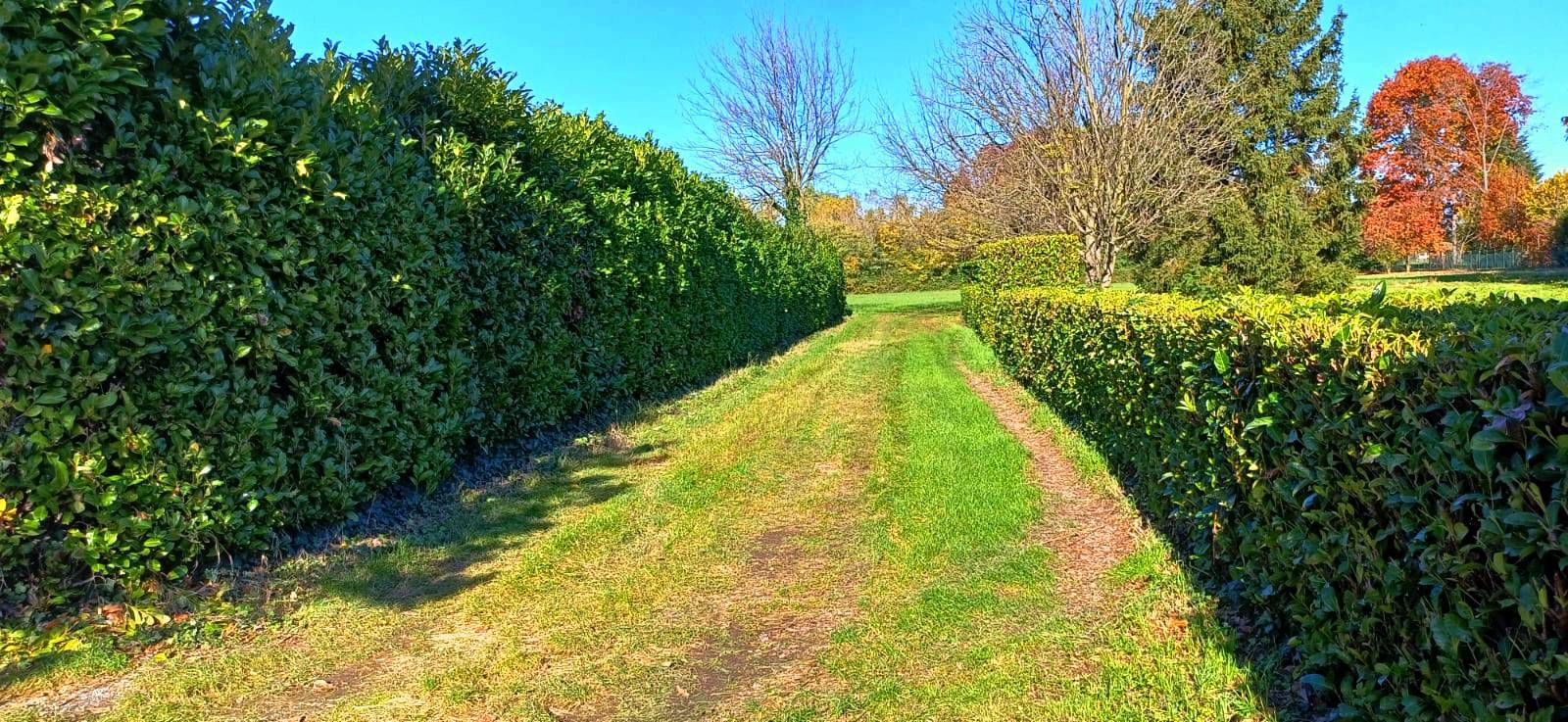 Terreno Agricolo in vendita a Cornate d'Adda, Periferica