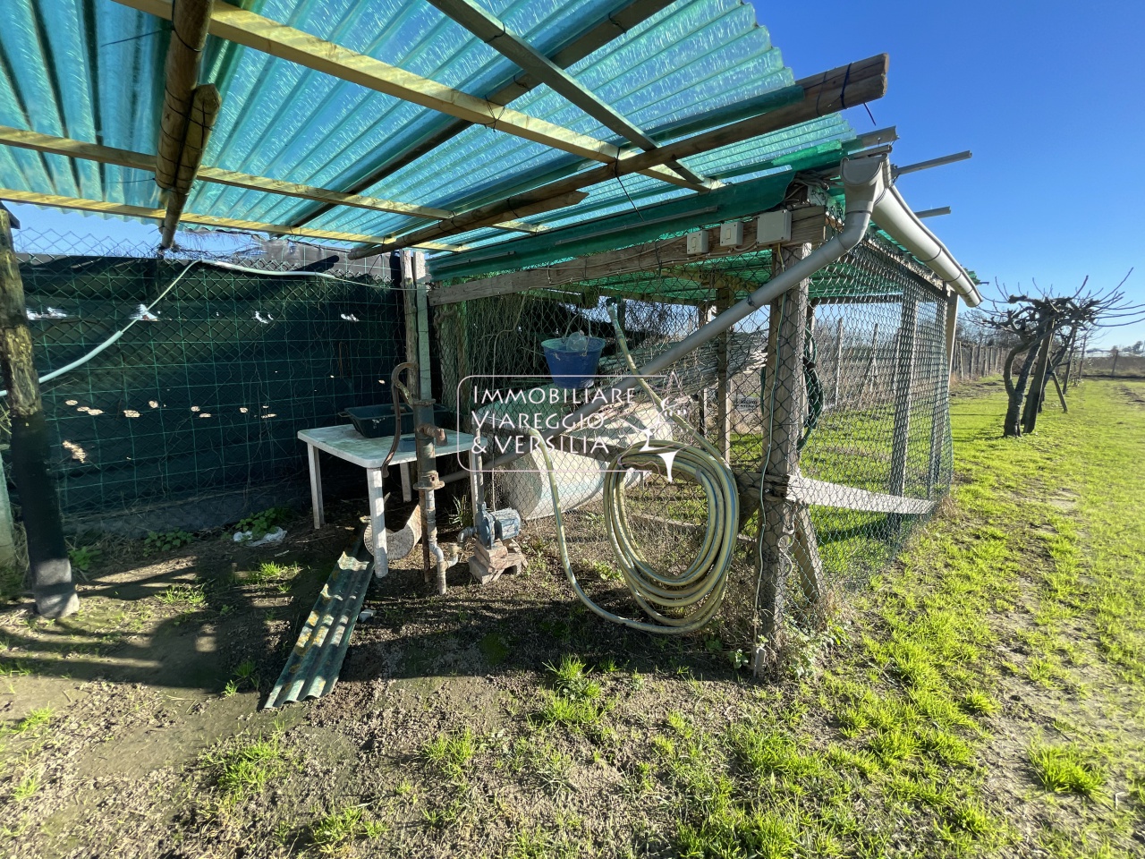 Terreno Agricolo in vendita a Viareggio, Bicchio