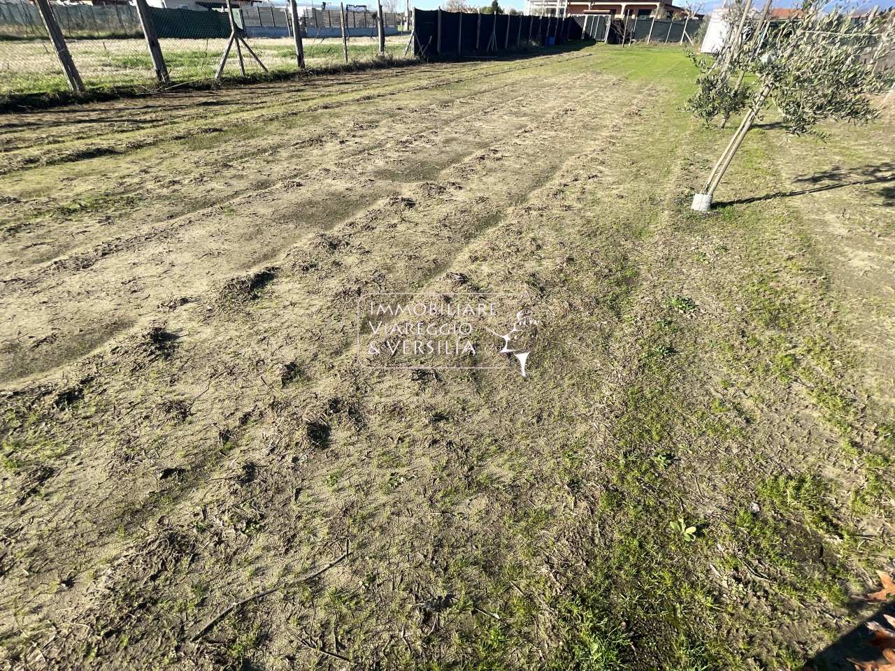 Terreno Agricolo in vendita a Viareggio, Bicchio