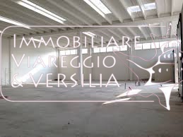 Capannone in vendita a Camaiore, Capezzano Pianore