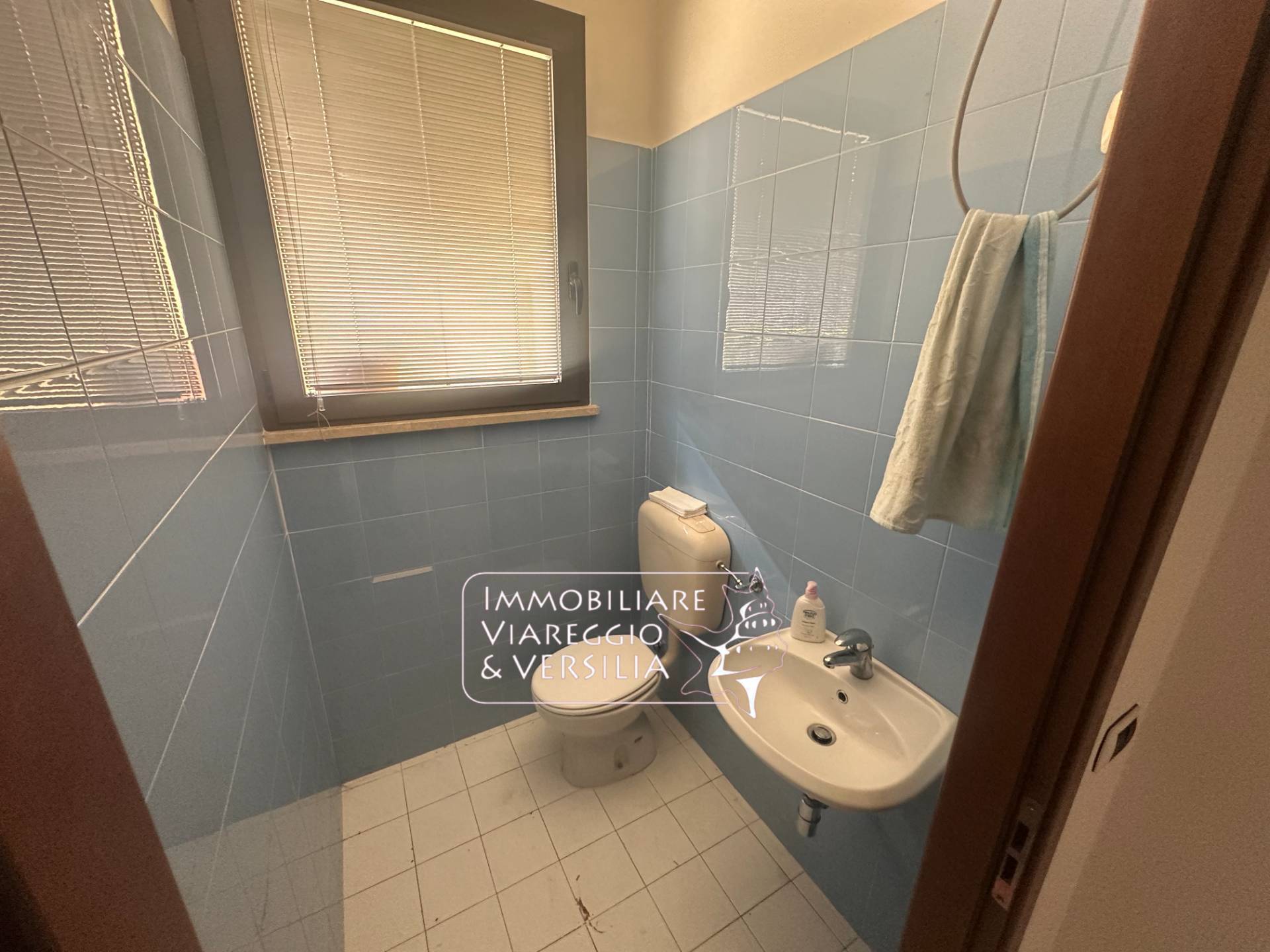 Capannone in vendita a Camaiore, Lido di Camaiore