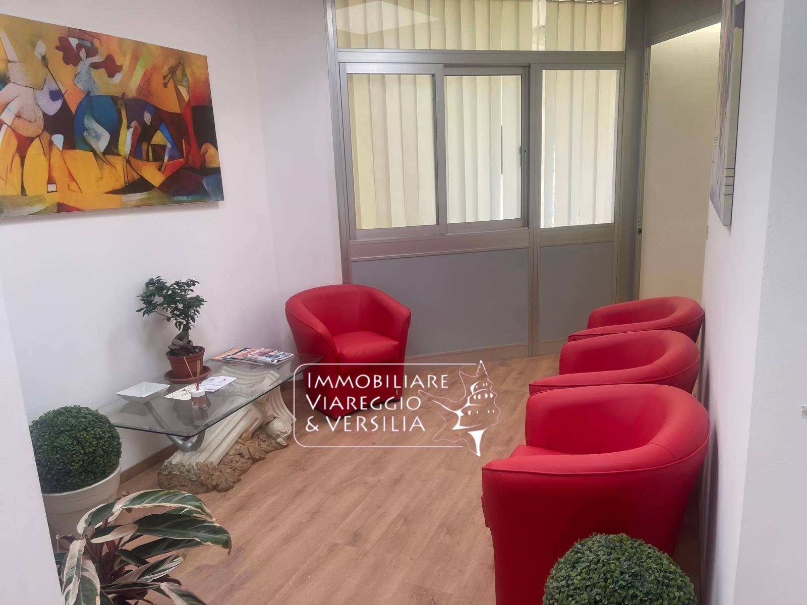 Studio/Ufficio in affitto a Viareggio, Ex Campo D'aviazione