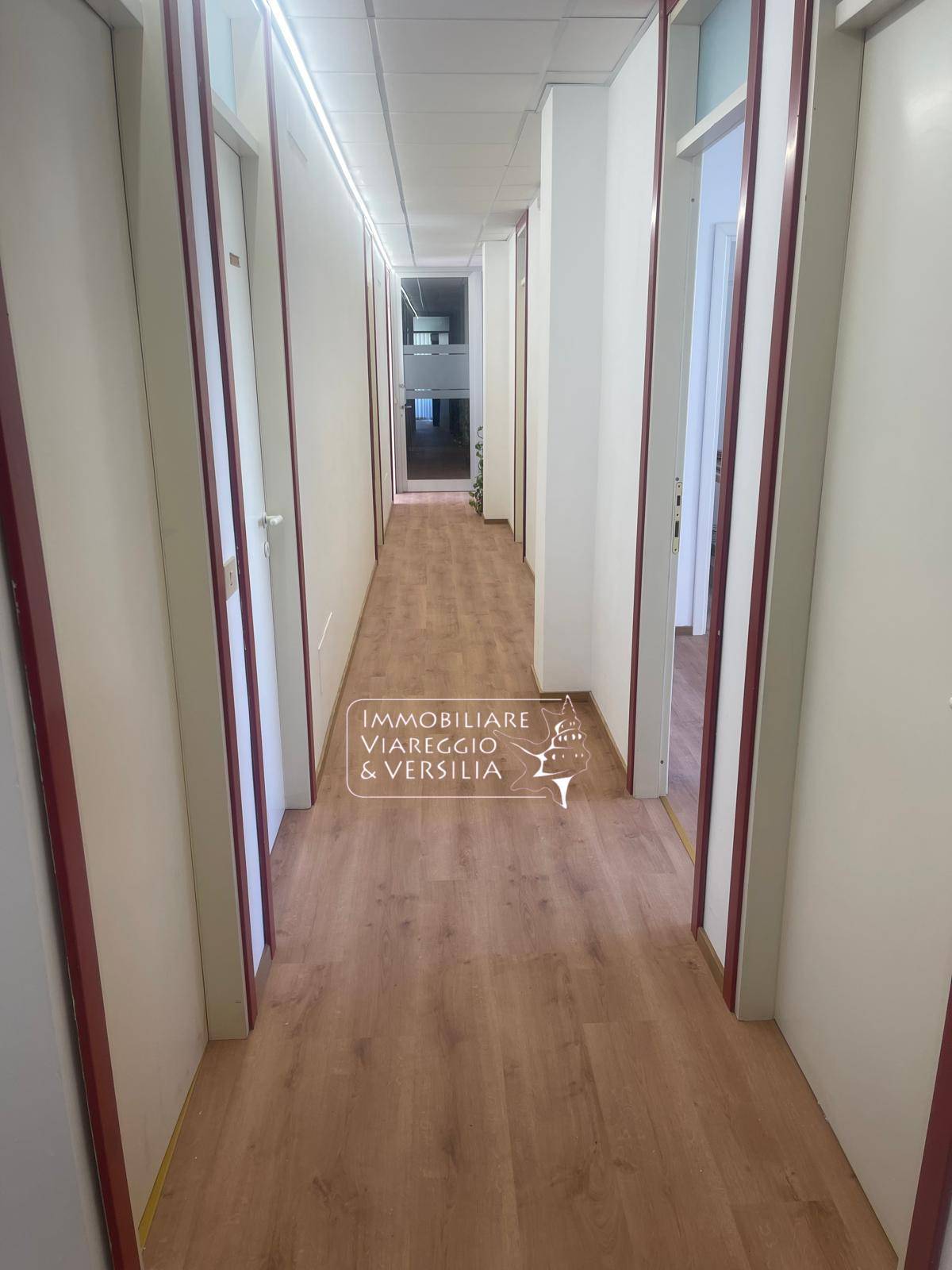 Studio/Ufficio in affitto a Viareggio, Ex Campo D'aviazione