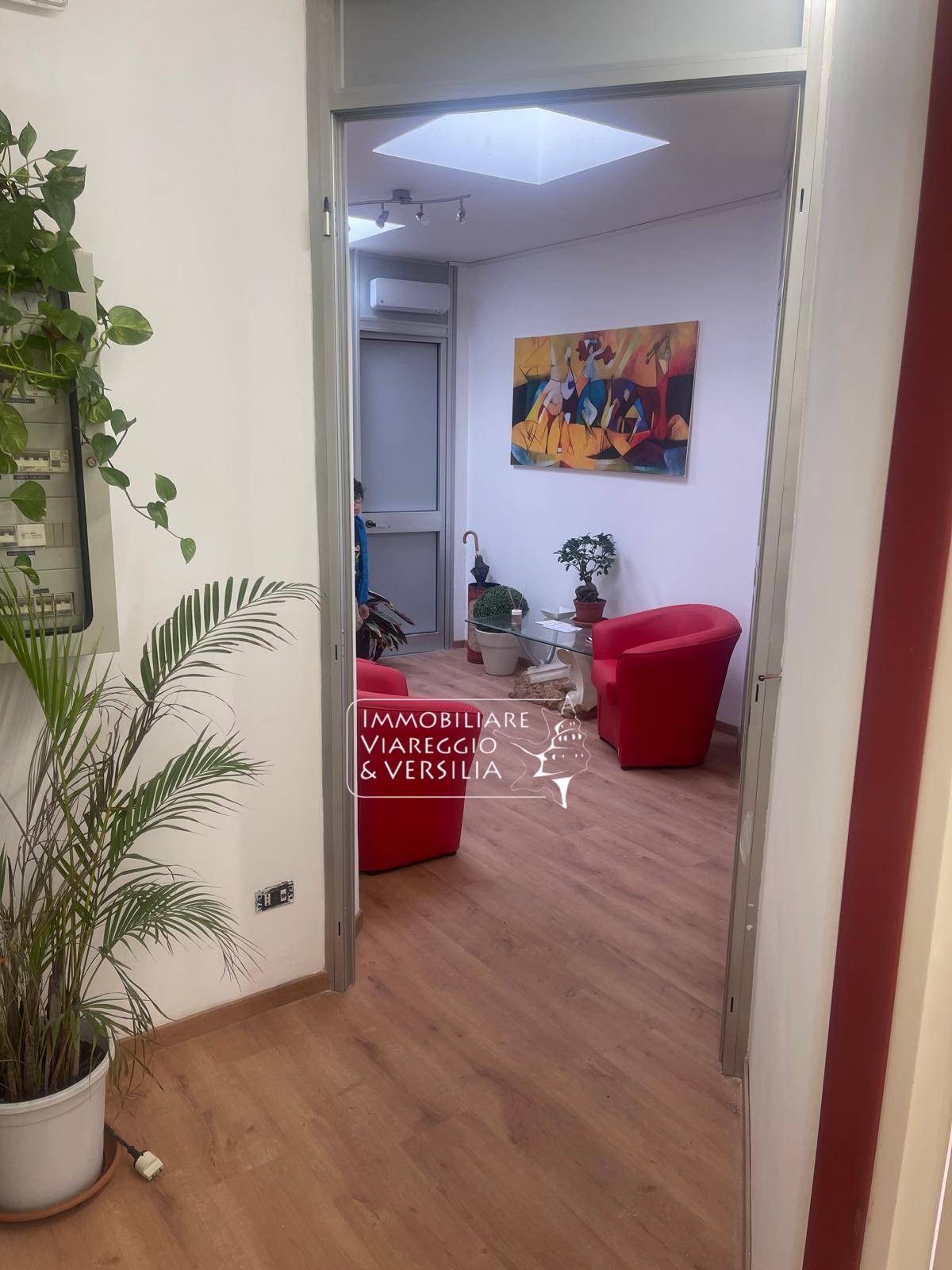 Studio/Ufficio in affitto a Viareggio, Ex Campo D'aviazione