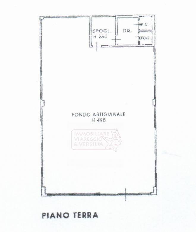 Capannone in affitto a Viareggio, Cotone