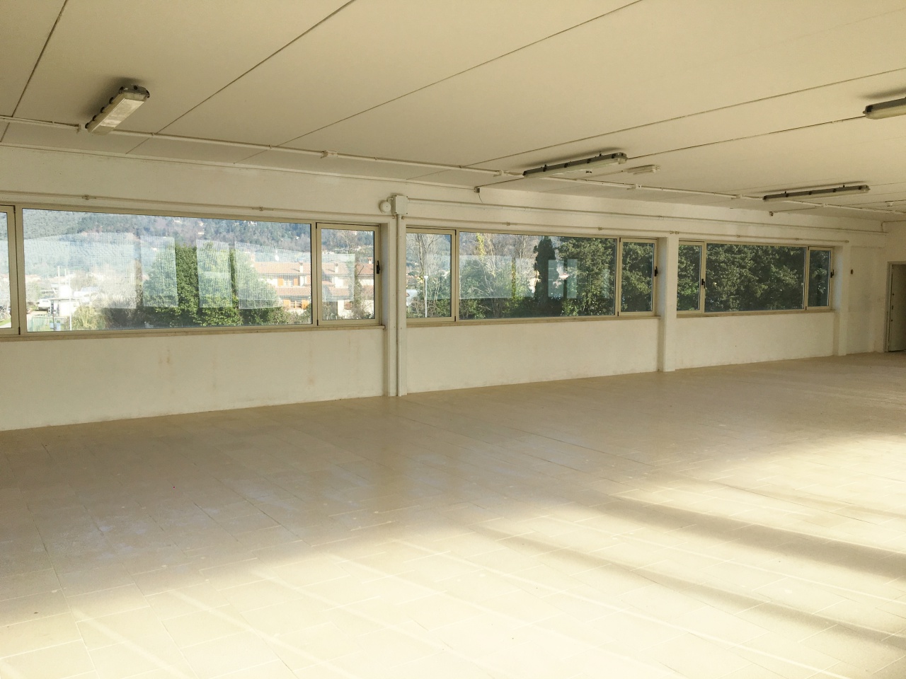 Capannone in vendita a Camaiore, Capezzano Pianore