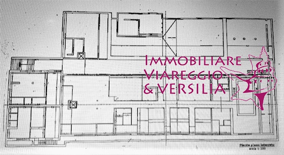 Attivit commerciale in affitto a Viareggio, Centro Mare