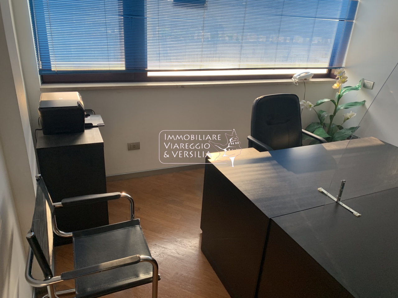 Studio/Ufficio in affitto a Viareggio, Marco Polo