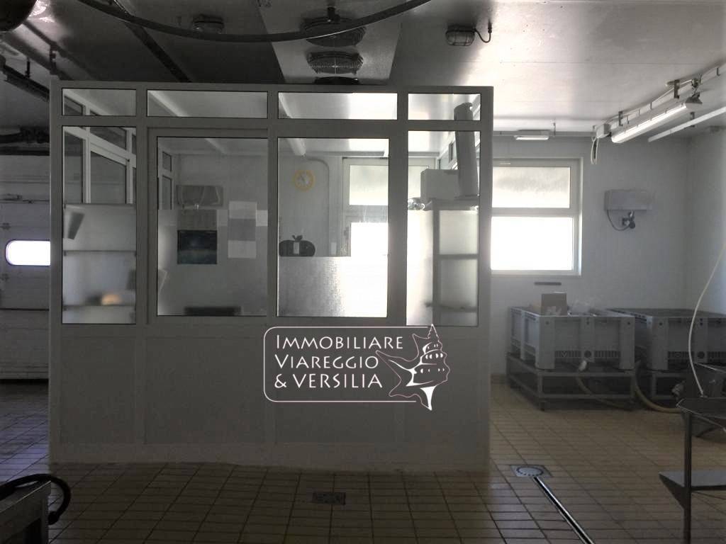 Laboratorio in vendita a Viareggio, Varignano