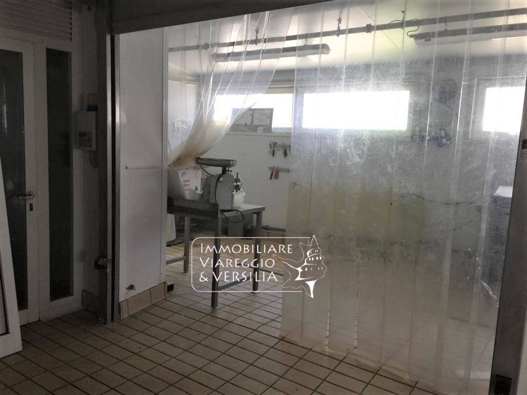 Laboratorio in vendita a Viareggio, Varignano