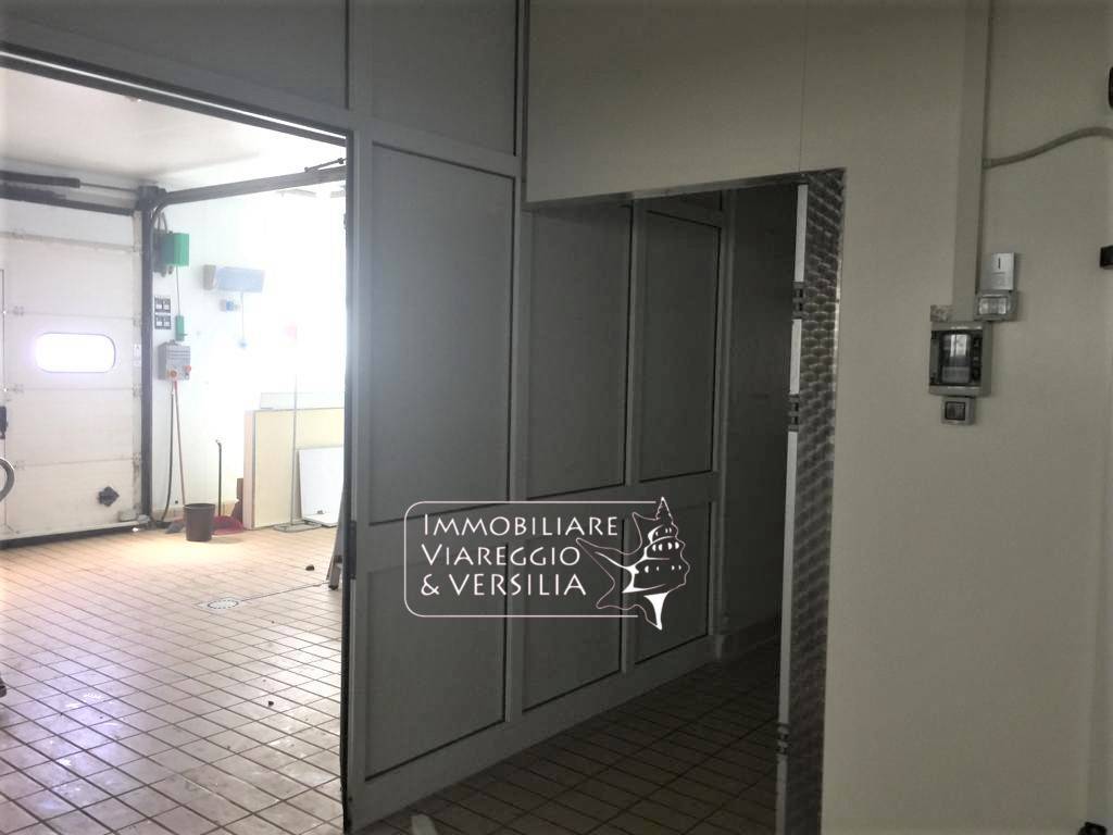 Laboratorio in vendita a Viareggio, Varignano