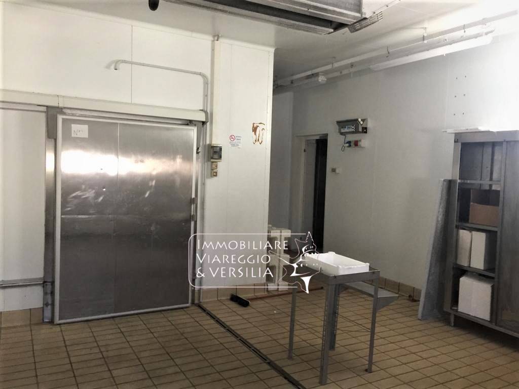 Laboratorio in vendita a Viareggio, Varignano