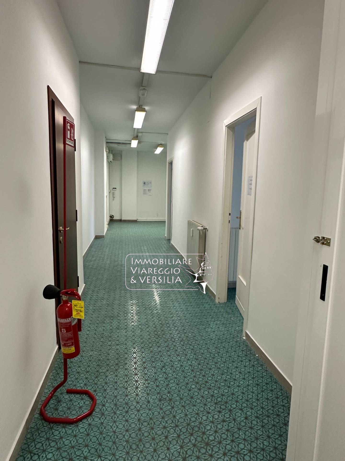 Studio/Ufficio in affitto a Viareggio, Centro