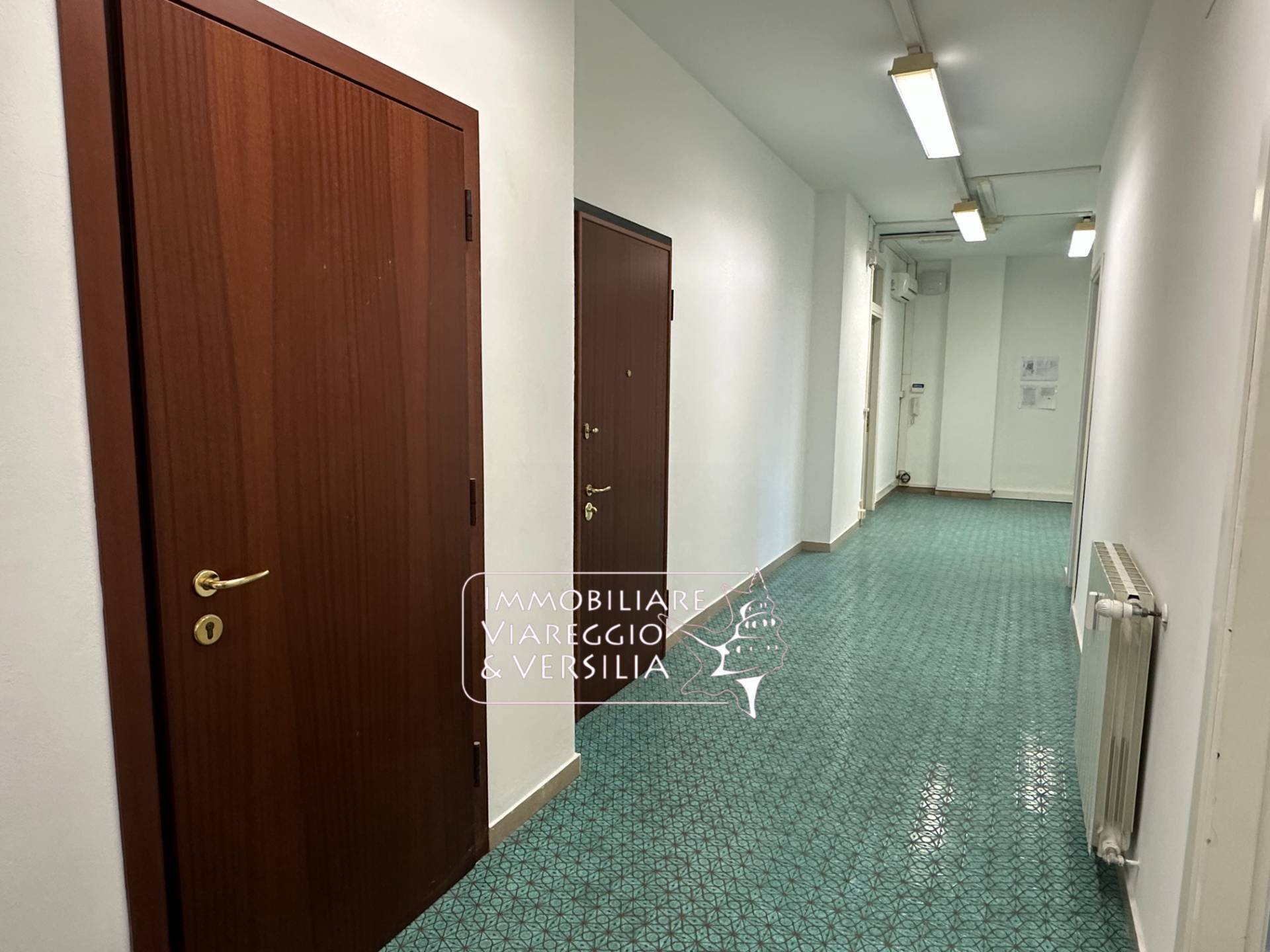 Studio/Ufficio in affitto a Viareggio, Centro