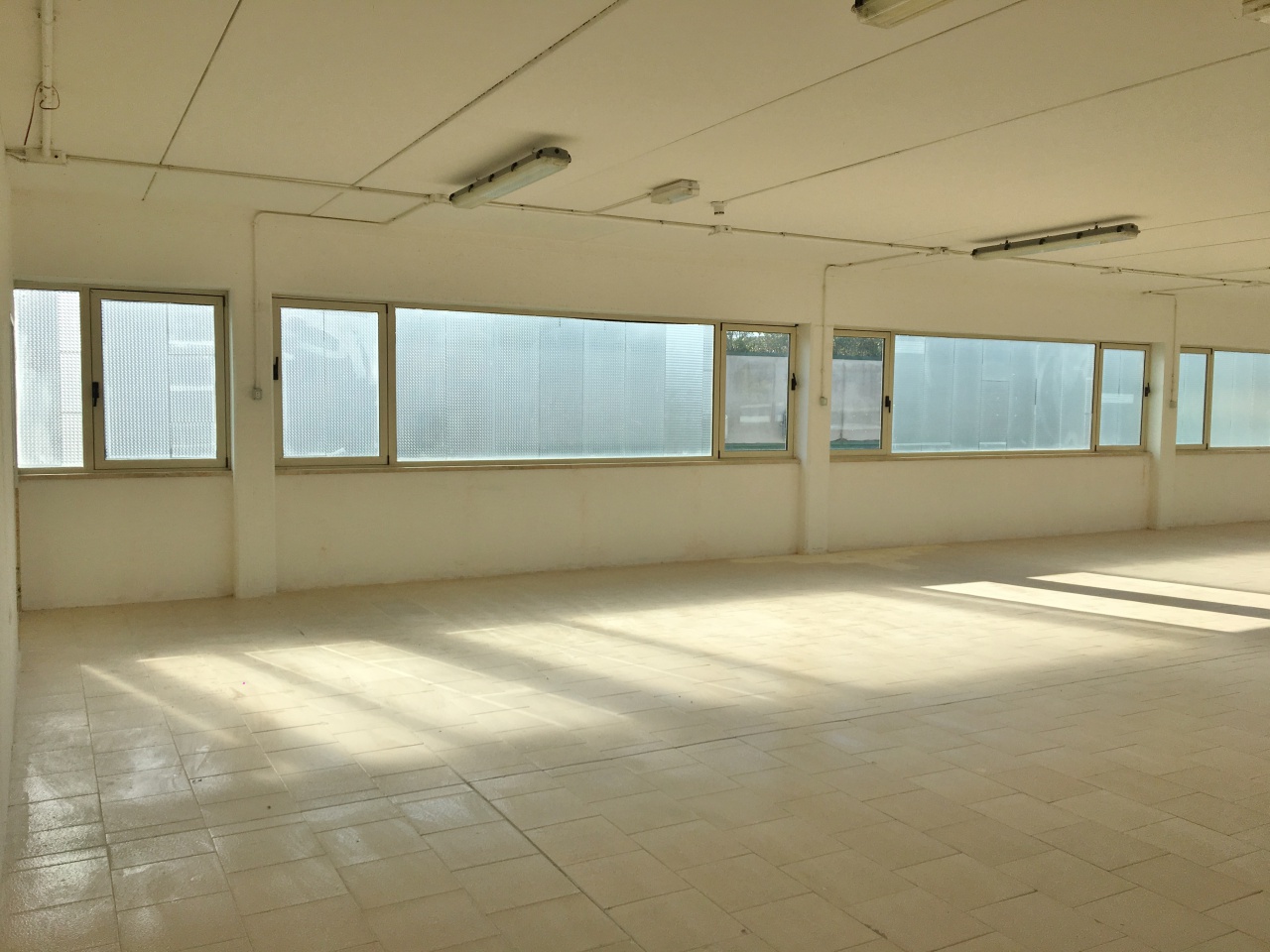 Capannone in vendita a Camaiore, Capezzano Pianore