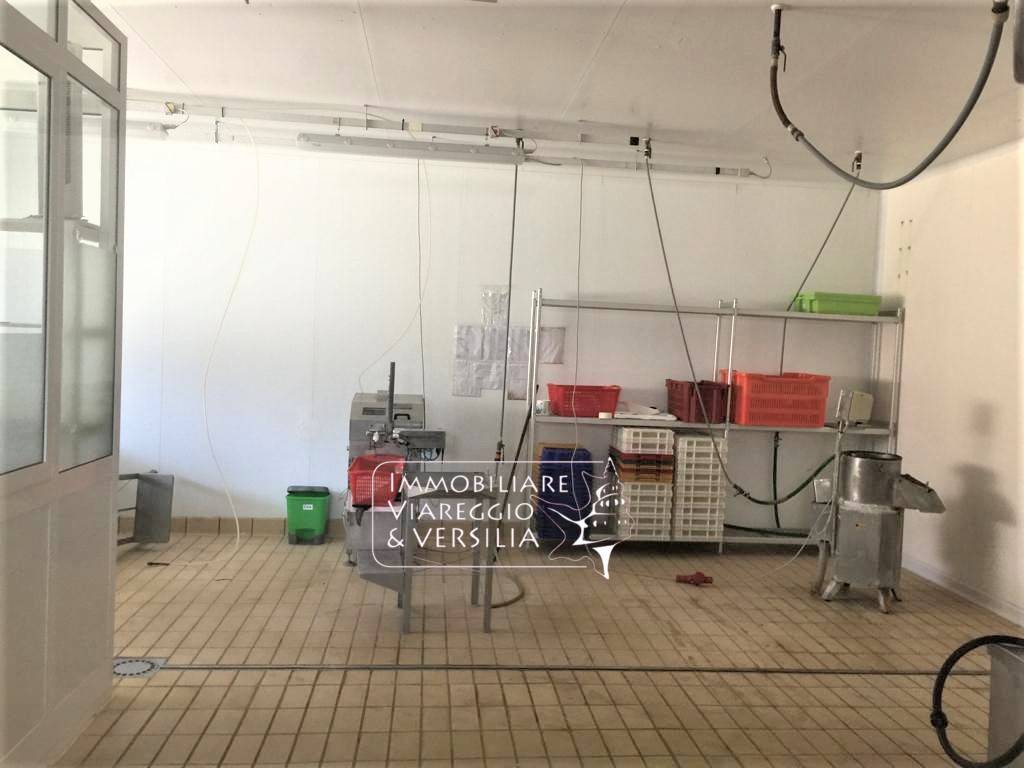 Laboratorio in vendita a Viareggio, Varignano