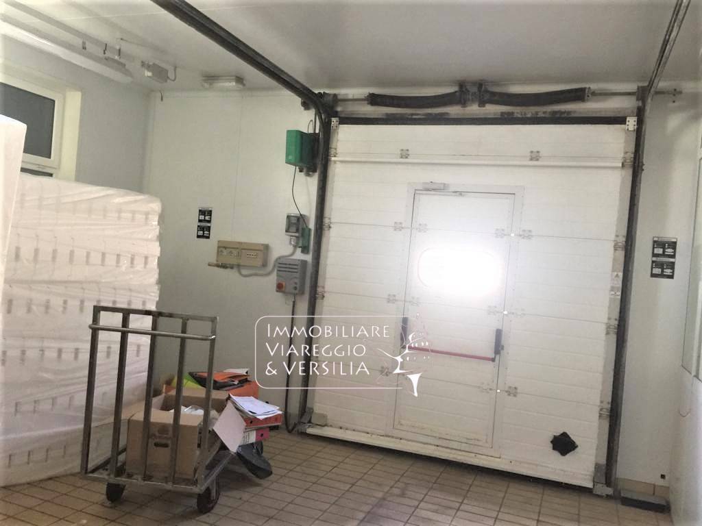 Laboratorio in vendita a Viareggio, Varignano