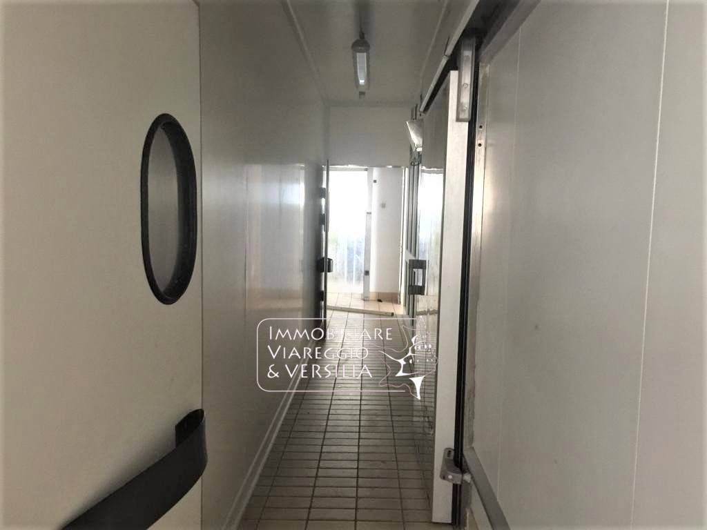 Laboratorio in vendita a Viareggio, Varignano