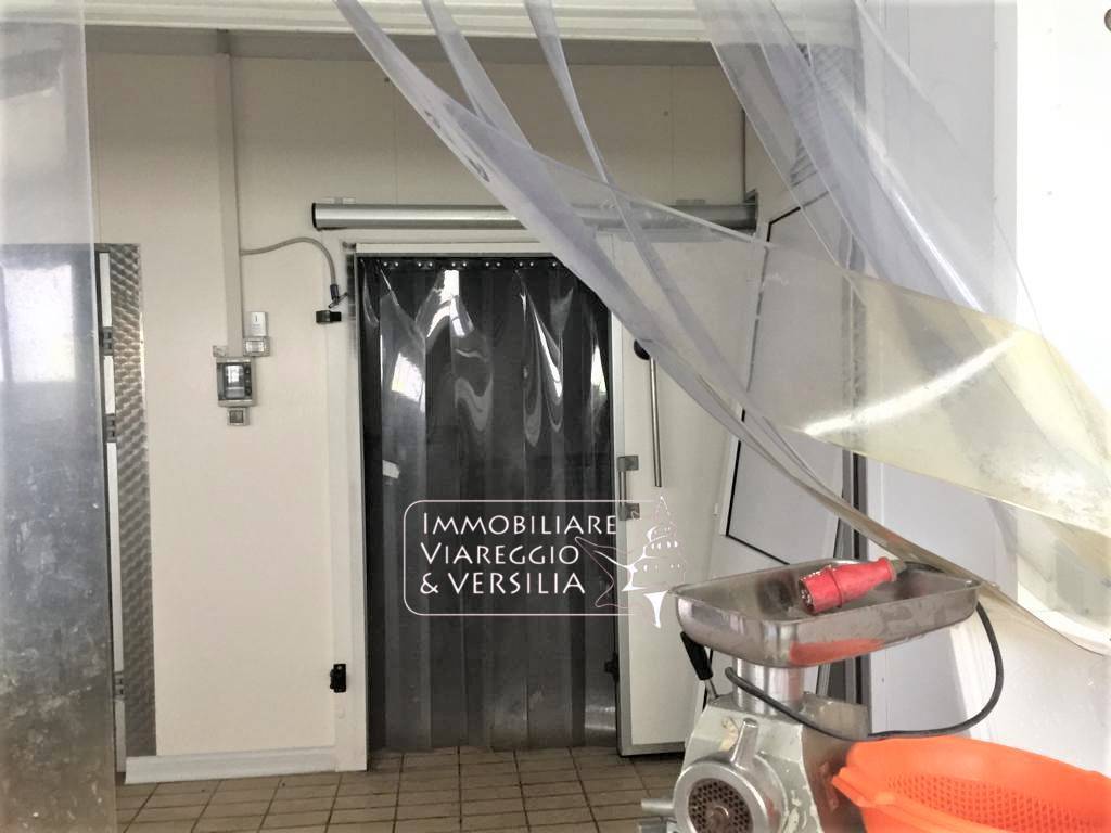 Laboratorio in vendita a Viareggio, Varignano