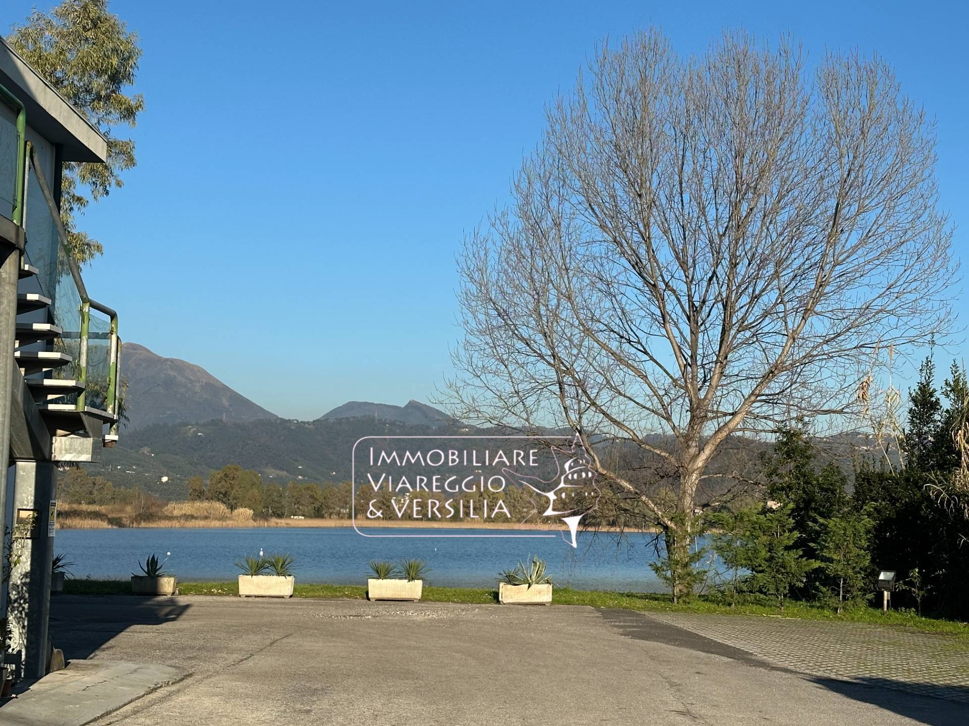 Studio/Ufficio in affitto a Viareggio, Terminetto