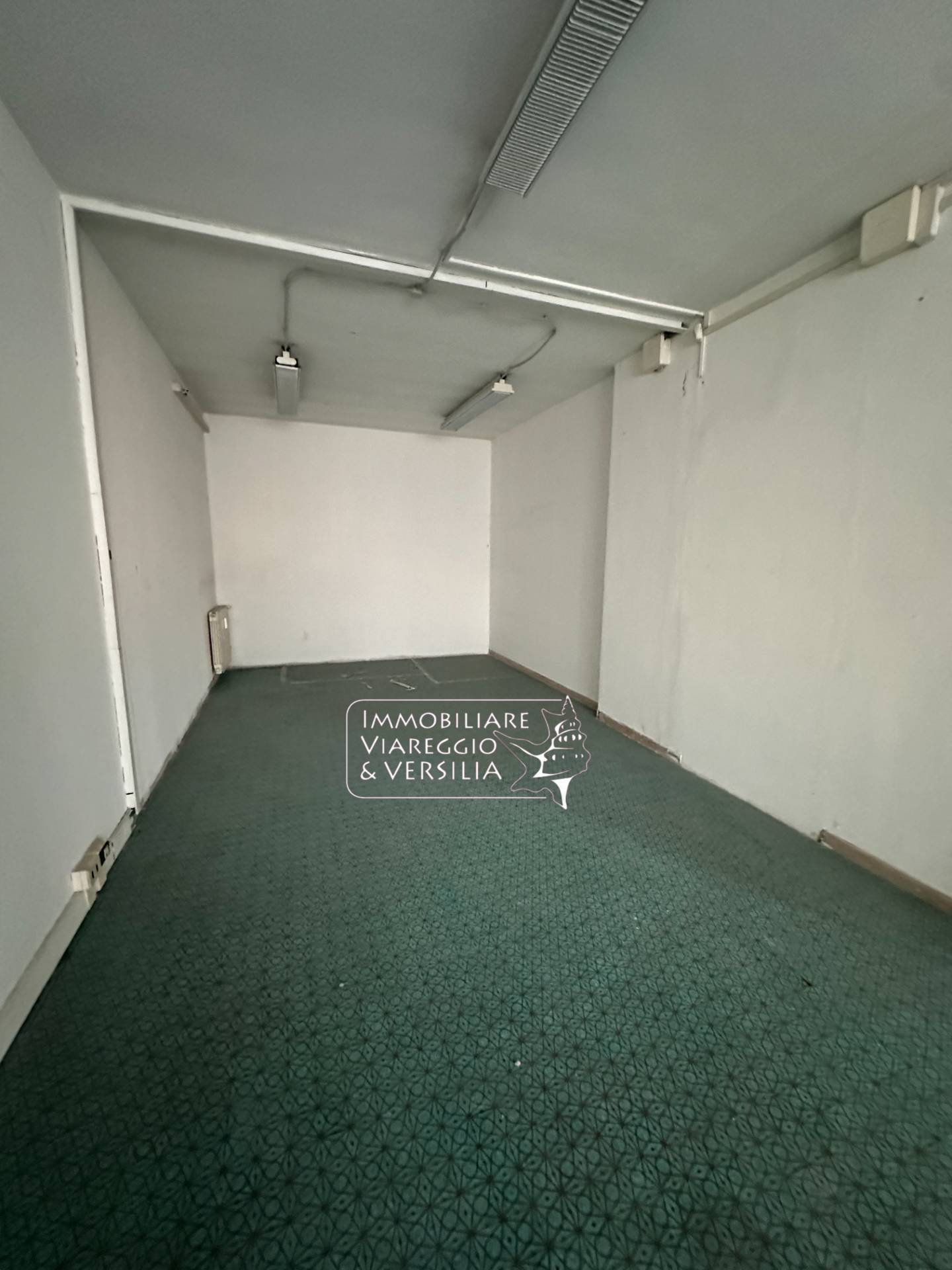 Studio/Ufficio in affitto a Viareggio, Centro Pineta