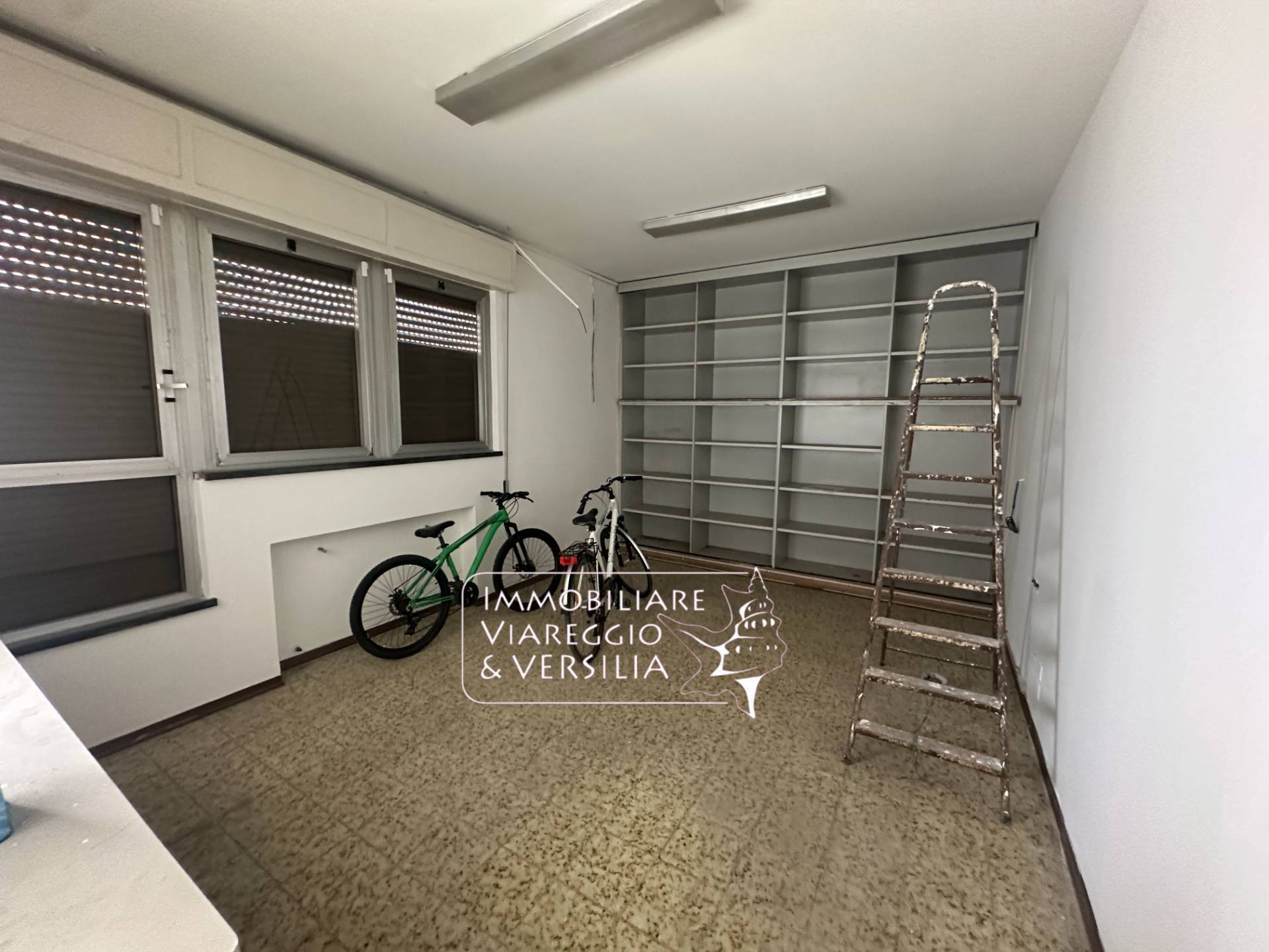 Capannone in affitto a Viareggio, Darsena