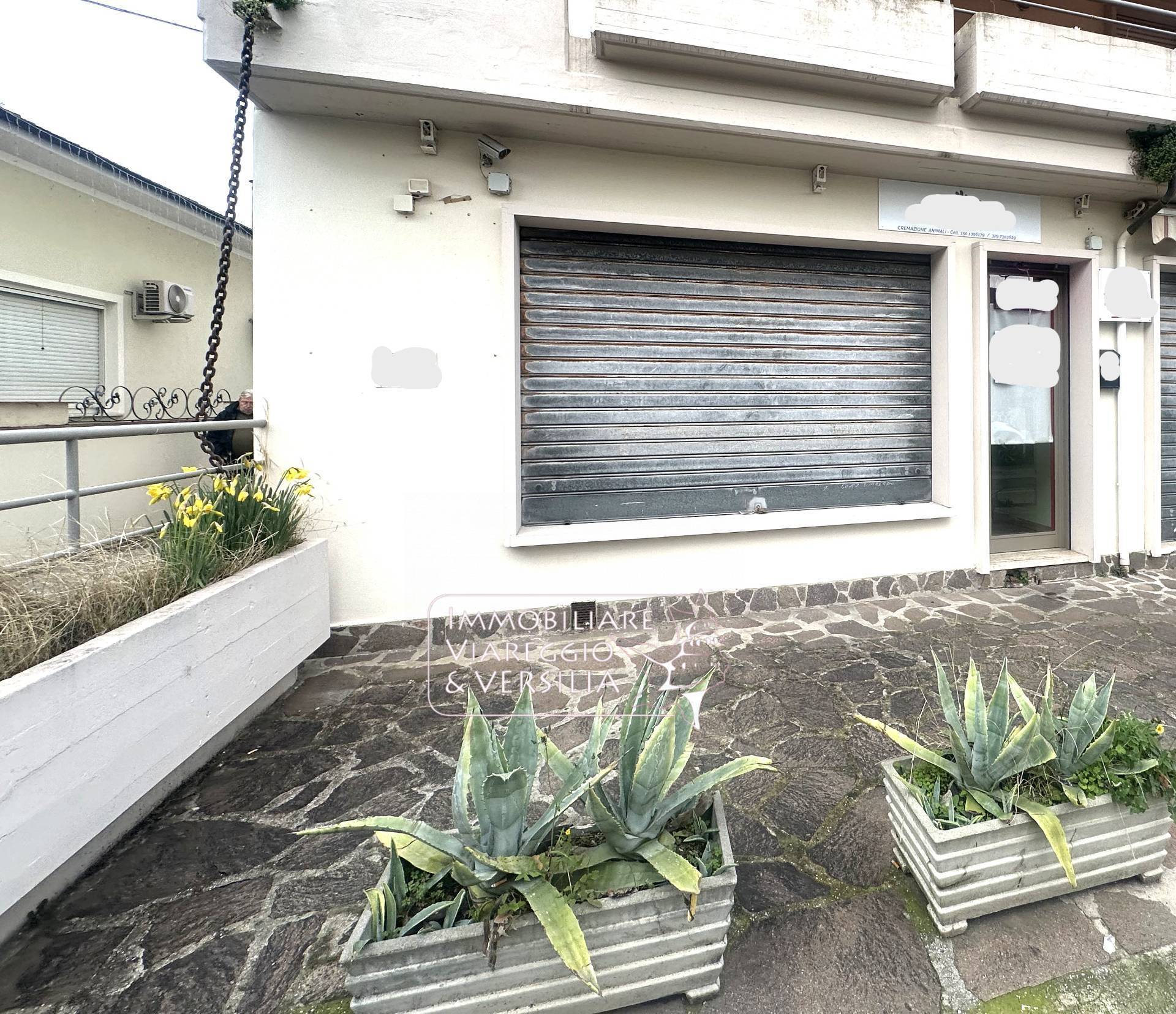 Appartamento in vendita a Viareggio, Ex Campo D'aviazione