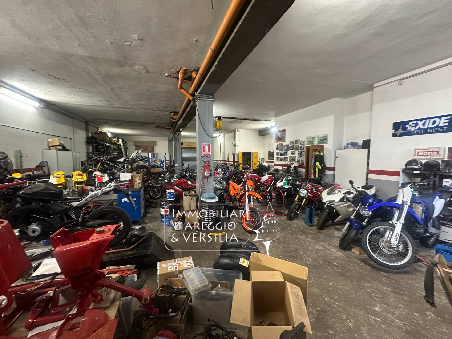 Capannone in vendita a Viareggio, Migliarina