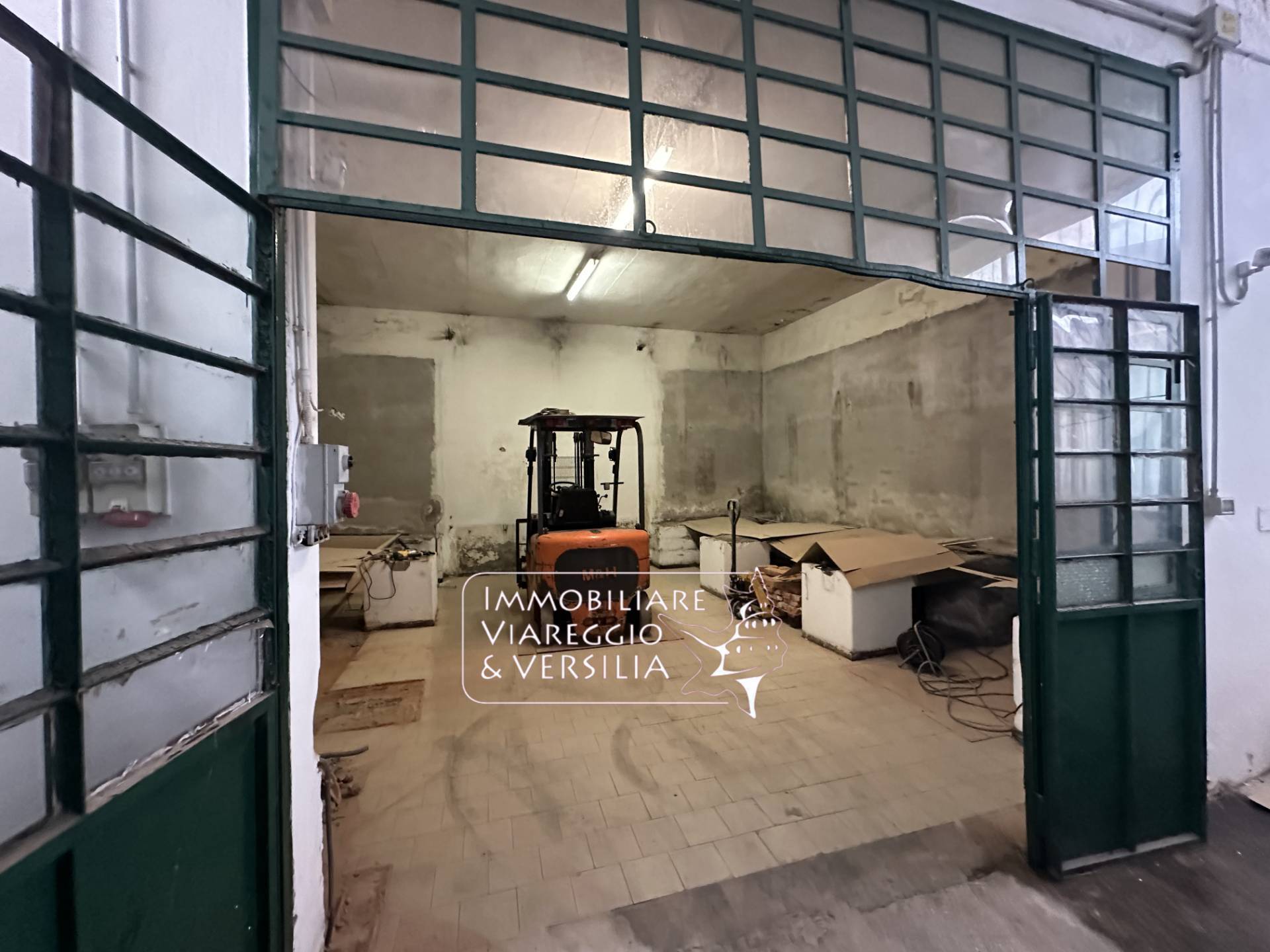 Capannone in affitto a Viareggio, Centro