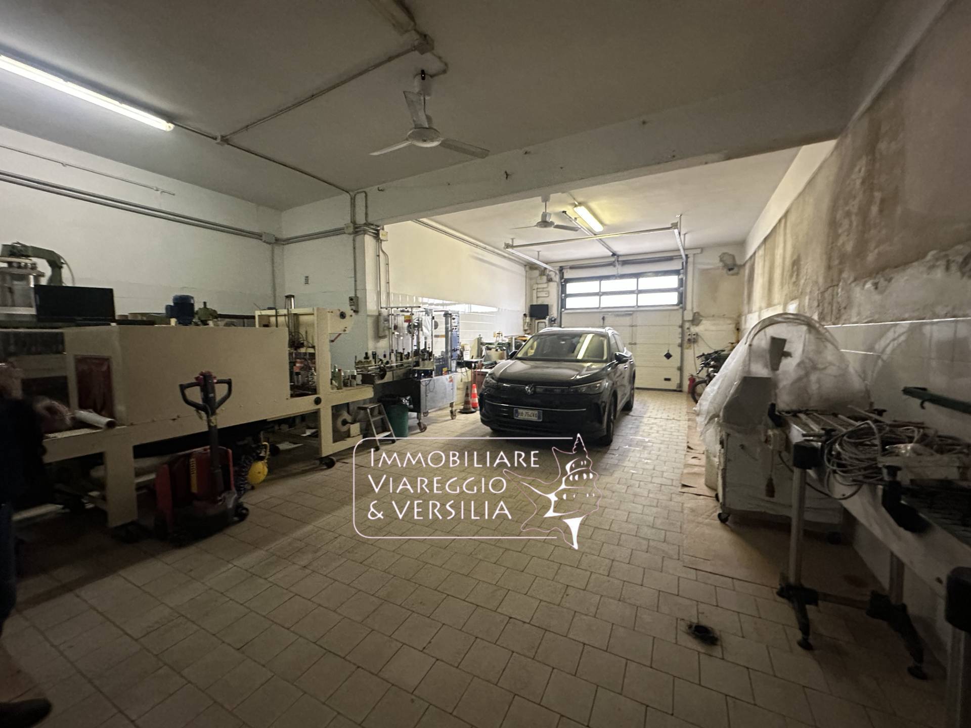 Capannone in affitto a Viareggio, Centro