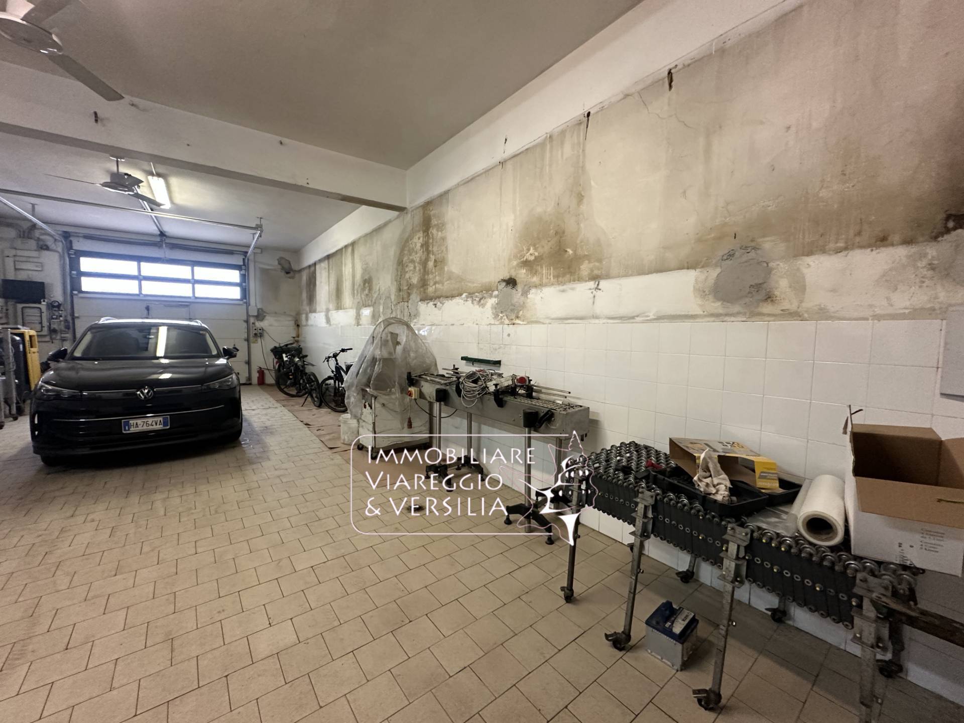 Capannone in affitto a Viareggio, Centro