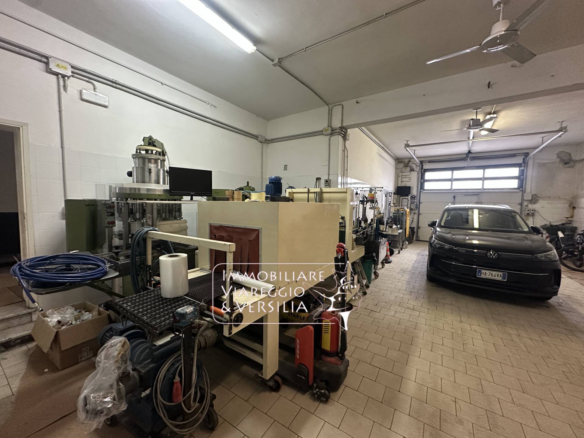 Capannone in affitto a Viareggio, Centro