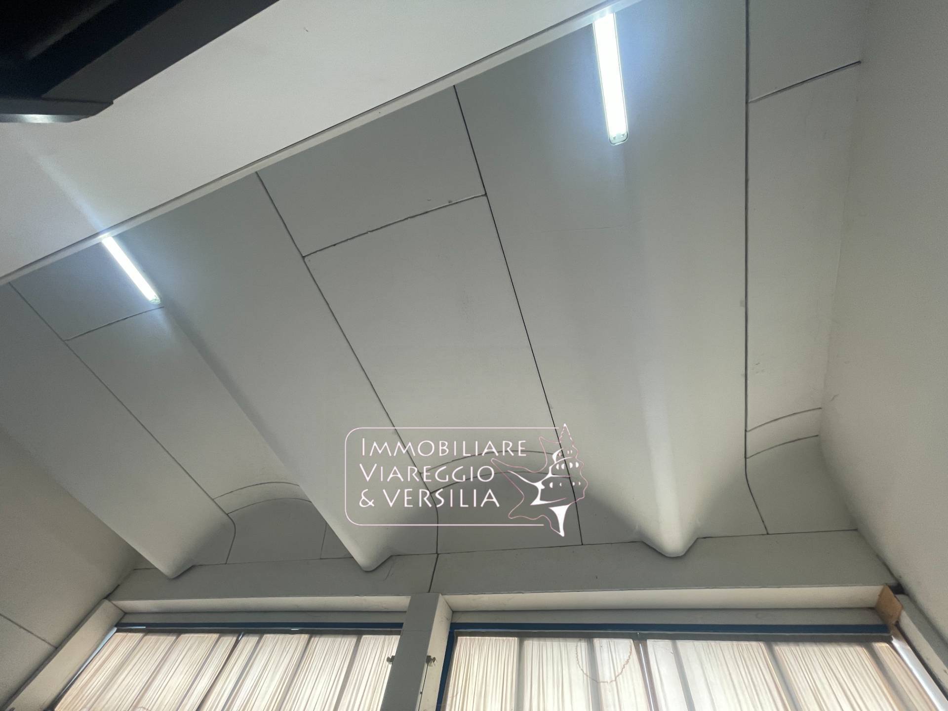 Capannone in vendita a Viareggio, Cotone