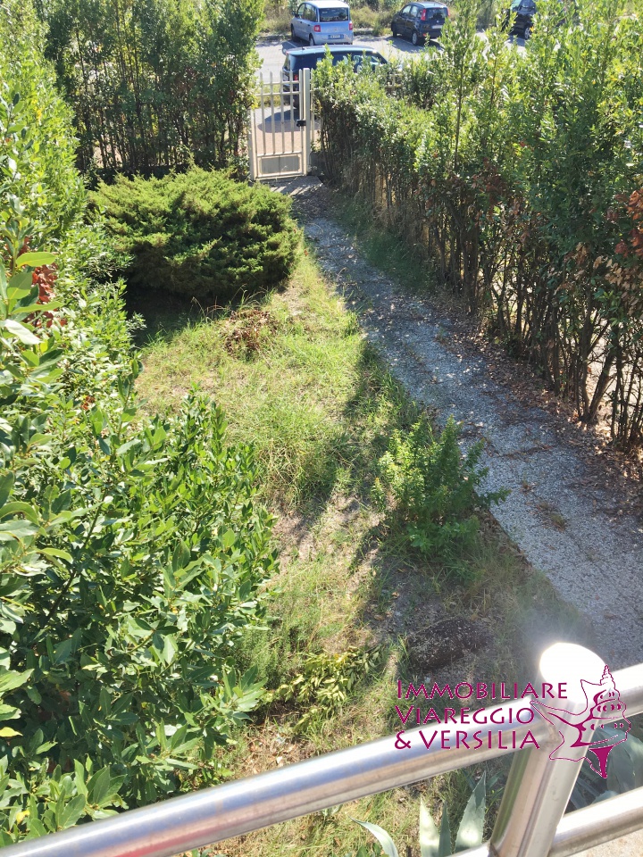 Capannone in affitto a Camaiore