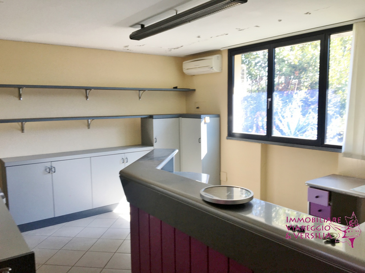 Capannone in affitto a Camaiore