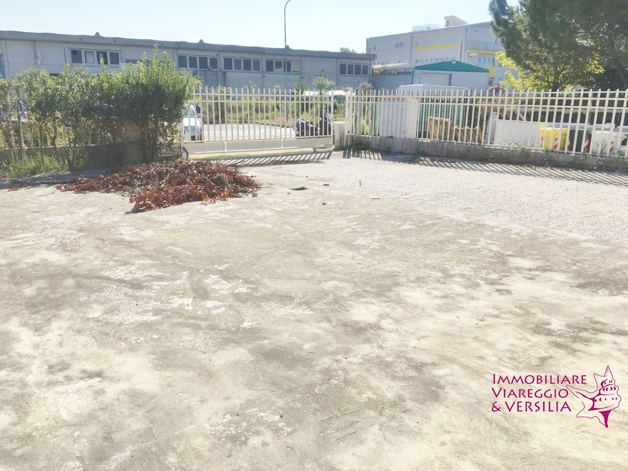 Capannone in affitto a Camaiore