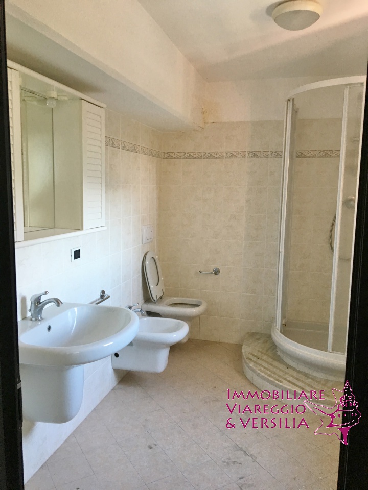 Capannone in affitto a Camaiore