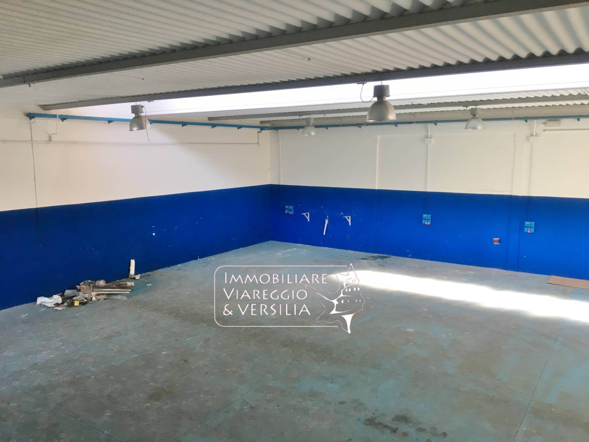 Laboratorio in vendita a Camaiore, Capezzano Pianore